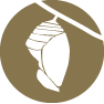 aurelia advisory small logo